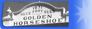 1955 Experience Entertainment