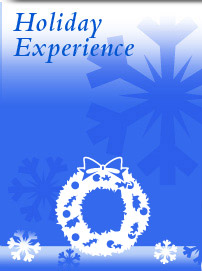 Holiday Experience