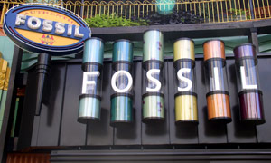 The Fossil Store