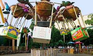 Flik's Flyers