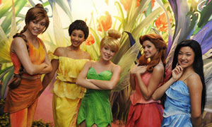 Pixie Hollow Pixie Hollow