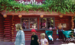Briar Patch Briar Patch