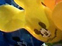 TicketsPlaySave Disneyland Deals and Offers All on one page Disneyland Deals and Offers All on one page