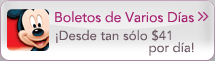 Boletos de Varios Días
¡ Desde tan sólo $41 por día!
