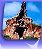 Critter Country